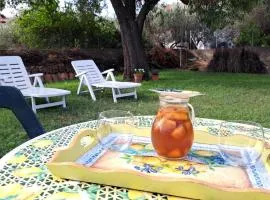 Il Giardino di Mango Trilocale