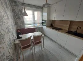 Miško kvartalas