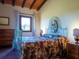 Pineta Toscana Vacanze