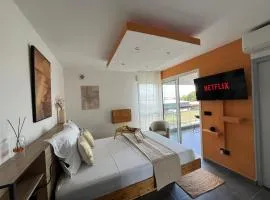 Ibis studio 2