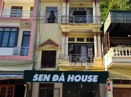 Sen Đá House