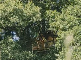 La Cabanoun, cabane perchée vue lac