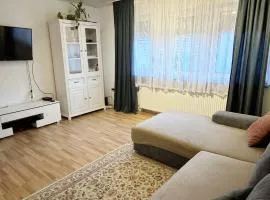 Comfortable Apartment in Groß-Gerau