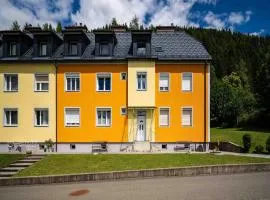 Apartment in Sankt Lambrecht near Ski Lift
