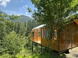 TreeHouse by The Woodpecker Inn Jibhi