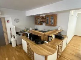Kolarjeva International House