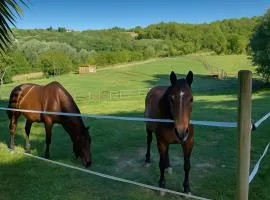 Freedoms Reins Farm B&B