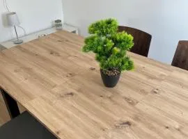 Gemütliches Apartment mit Smart-TV und WLAN in Hamm Mark