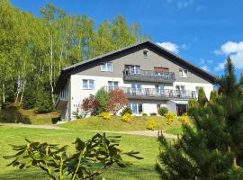 Willa Monika, Hotel in Muszyna