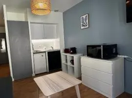 Charming studio 2 people Ainay district close to Bellecour