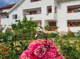 Pensiunea Ela Novaci, hotel com acessibilidade em Novaci-Străini