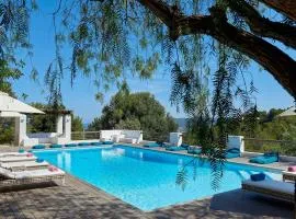 Elegant Villa Retreat in Ibiza's Heart, 1041