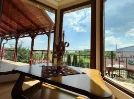 The Salin House