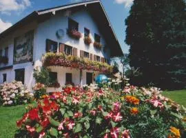 Ruheoase in der Natur nahe am Attersee