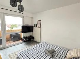 Soh Rent Appartement cozy Strasbourg Wifi Terrasse St Aloise