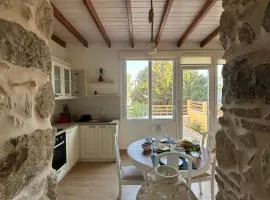 Garden Residence