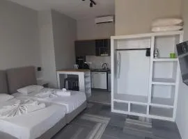 Pension Selenti