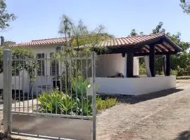 Stella Marina