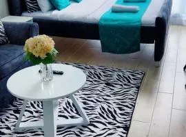 Caster studio apartment jkia