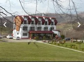 Pensiunea Casa Pădurii Slanic PRAHOVA