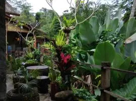 Umah mimpi