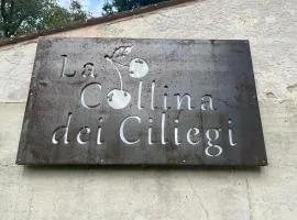 Casale la COLLINA DEI CILIEGI