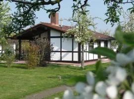 Ferienhaus Robinson im Feriendorf Altes Land direkt an der Elbe