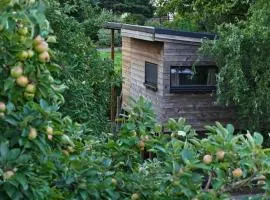 Cabane du hibou