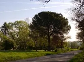 Roquepoix, A green stopover to explore Gascony