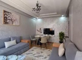 Modern Fully equipped 2 rooms apartment