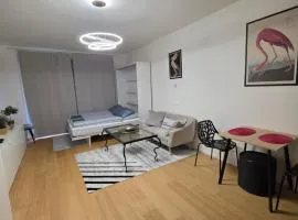 Modern Studio on the banks of the Danube
