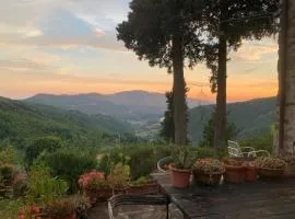 La Felce e il Mirtillo