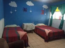 Hostal the Cats