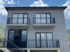 Elnetsa Inn Kazbegi