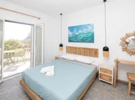 Delfinaki Boutique Apartments Lionas beach ,Naxos