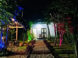 Banana Shade Cottage