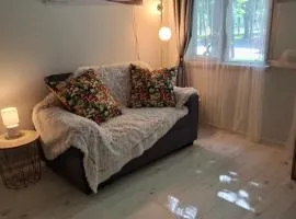 Pikk 24 apartment - Pärnu kesklinn - City center