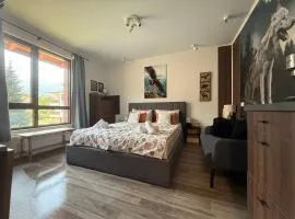 Luxury Studio2 in Hotel Friends Spa