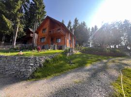 Cabana Apuseni N&D, camping em Marisel