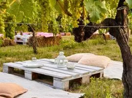 Appartamento VerdeVigna