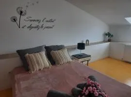 Chambre CHARDON - Maison partagée - 2 personnes