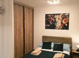 Apartment Maya 69