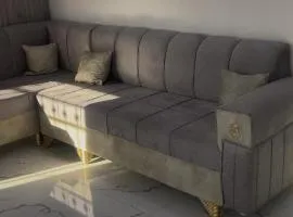 ستوديو مفروش ومزرعه