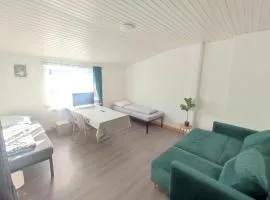 Bright and Spacious Apartment in Wiesbaden City Center
