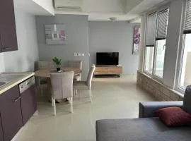 Apartment Milica