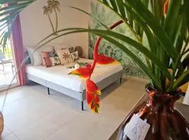 Ti Oasis SEAVIEW, Studio Vue Mer à 150m de la plage