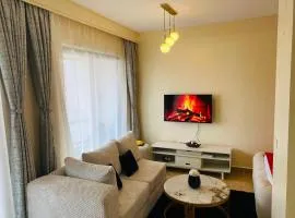 Spacious-Studio-Apartment