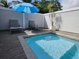 Metro Luxury House