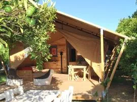 Campo Portakal Eco Glamping