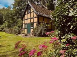 Auszeit vom Alltag in urigem Ferienhaus in ruhiger, idyllischer Natur im Dümmer-Weserland